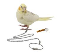 Bird Foot Chain Flying Stainless Steel Training Rope Outdoor Parrot Ankle Foot Ring Accessories Bird Harness Leash Prevent Escaping (Model6)