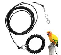 Bird Foot Chain, Parrot Bird Training Rope Lightweight for Flying, Ankle Foot Ring Attached Flying Rope to Prevent Escaping for Courtyard, Terrace, Outing