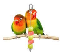 Bird Fruit Skewer - Stainless Steel Finch Vegetable Sticks Feeder Bird Vegetable Skewer for Cage Activity Cockatiel Conure Fink Inseparable Small Animal