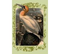 bird gannet, Solan Goose or Sula bassana: Perfect Gannet notebook, journal for bird species lovers , blank lined, 120 pages