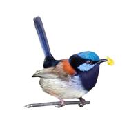 Bird Garden Decoration, Colorful Bird 2