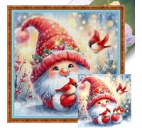 Bird Gnome Printed Cross Stitch Kit 40x40cm DIY 11CT Thread Art Needlework Decor