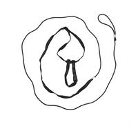 Bird Harness and Training Leash for Comfortable and Secure Outdoor Adventures with Your Parrot (XL)