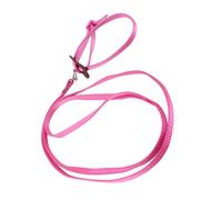 Bird Harness Leash Adjustable Birds Nylon AntiBite Rope for Outdoor Training Professional Accessories for Use (Pink)