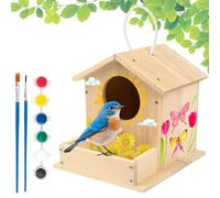 Bird House Kit Paint Natural Wooden Decor
