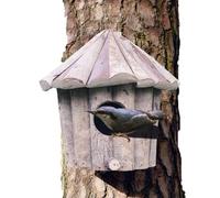 Bird House with Roof, Wooden Nesting Shelter, Natural Hummingbird House for Outside, Suitable for Wren, Finch, Robin, Sparrow, Parakeet, Bluebird, Window, Tree, Yard & Winter