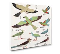 Bird Illustrations by Jean Francois Champollion Canvas Print | Gallery Wrapped 30mm Frame Wall Art | 14x14 inches | Ready to Hang | Retro Animals Picture | Living Room Bedroom Lounge Office