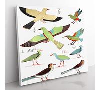 Bird Illustrations by Jean Francois Champollion Vintage Canvas Wall Art Print Ready to Hang, Framed Picture for Living Room Bedroom Home Office Décor, 35x35 cm (14x14 Inch)