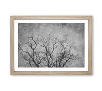 Bird in a Winter Tree Painting Framed Print | A2 Oak Framed Wall Art | Ready to Hang | Modern Floral Picture | Living Room Bedroom Lounge Office