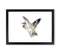 Bird in Flight by Kono Bairei Framed Print | A2 Black Framed Wall Art | Ready to Hang | Modern Nature Picture | Living Room Bedroom Lounge Office