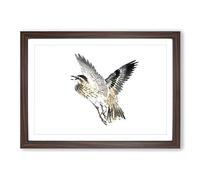 Bird in Flight by Kono Bairei Framed Print | A2 Walnut Framed Wall Art | Ready to Hang | Modern Nature Picture | Living Room Bedroom Lounge Office