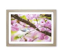 Bird in The Cherry Blossom Tree Painting Framed Print | A2 Oak Framed Wall Art | Ready to Hang | Modern Floral Picture | Living Room Bedroom Lounge Office