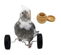 Bird Intelligence Training Toy, Parrot Puzzle Balance Car Toy for Small Medium Birds, Parrot Educational Table Top Trick Prop Toys, Parrot Foot Talon Toys for Lovebird (Balance Car with Theaceae Box)