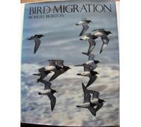 Bird Migration