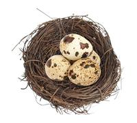 Bird Nest - 10 x 10 cm, Handmade Woven Rattan Bed, Cage Accessories with Flat Base for Parakeets, Hamsters and Small Animals, Reusable 20 g Hatch House Hideaways Offer The Whole Yes