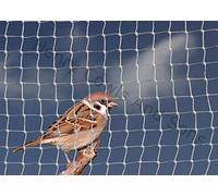 Bird Netting For the Garden 10m x 15m 19mm Anti Sparrow Small Mesh Heavy Duty White Net