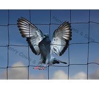 Bird Netting For the Garden 10m x 15m 50mm 2" Anti Pigeon Knotted Mesh Heavy Duty Black Net Protection