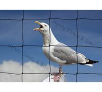 Bird Netting For the Garden 15m x 15m 75mm Anti Seagull Knotted 3" Mesh Heavy Duty Black Net
