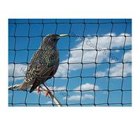 Bird Netting For the Garden 5m x 10m 28mm Anti Starling Knotted 1 1/8" Mesh Heavy Duty Black Net