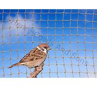 Bird Netting For the Garden 5m x 15m 19mm Anti Sparrow Small Mesh Heavy Duty Stone Net
