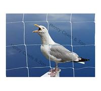 Bird Netting For the Garden 5m x 20m 75mm Anti Seagull Knotted 3" Mesh Heavy Duty White Net