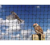 Bird Netting For the Garden 5m x 5m 19mm Anti Sparrow Small Mesh Heavy Duty Black Net