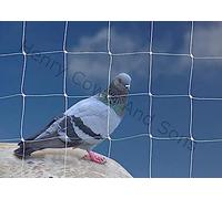 Bird Netting For the Garden 5m x 5m 50mm 2" Anti Pigeon Knotted Mesh Heavy Duty White Net Protection