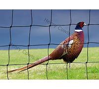 Bird Netting For the Garden/Top Pens 11' X 11' 38mm Anti Pheasant Knotted Mesh 3.3m X 3.3m Heavy Duty Black Net