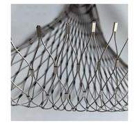 Bird Netting,Stainless Steel Wire Mesh 304, Decorative Safety Netting for Balcony & Garden Stairs, 10cm/2mm Anti-Fall Fence, 2x16m Outdoor Protection Netting