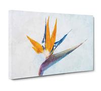 Bird of Paradise Flower Canvas Print | Gallery Wrapped 30mm Frame Wall Art | 30x20 inches | Ready to Hang | Modern Animals Picture | Living Room Bedroom Lounge Office