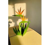 Bird of paradise flower Pop Up 3D card. Flower Spring Collection. An elegant card with a delightful surprise greeting card gift for Daughter, Mum, Friend, Granddaughter, Wife, Sister, Grandma15cmx15cm