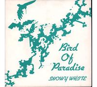 Bird of Paradise / The Answer [7" VINYL]