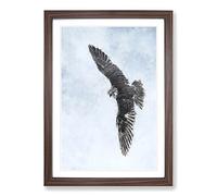 Bird of Prey Painting Framed Print | A2 Walnut Framed Wall Art | Ready to Hang | Modern Historical Picture | Living Room Bedroom Lounge Office