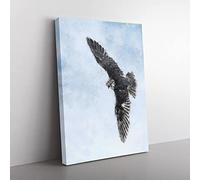 Bird Of Prey Painting Modern Canvas Wall Art Print Ready to Hang, Framed Picture for Living Room Bedroom Home Office Décor, 60x40 cm (24x16 Inch)