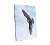 Bird Of Prey Painting Modern Canvas Wall Art Print Ready to Hang, Framed Picture for Living Room Bedroom Home Office Décor, 50x35 cm (20x14 Inch)