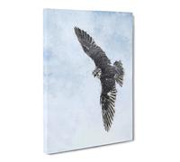 Bird Of Prey Painting Modern Canvas Wall Art Print Ready to Hang, Framed Picture for Living Room Bedroom Home Office Décor, 20x14 Inch (50x35 cm)