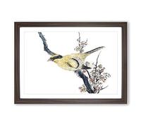 Bird on a Branch by Katsushika Hokusai Framed Print | A2 Walnut Framed Wall Art | Ready to Hang | Asian Nature Picture | Living Room Bedroom Lounge Office