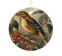 Bird on Branch Double-Sided Ceramic Christmas Ornaments - Round Hanging Mini Xmas Tree Decorations, Ideas for Farmers, Rustic Home Decor for Indoor Outdoor Tree Decor