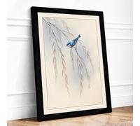 Bird on Willow Branch Botanical Framed Wall Art Print A2 (59.4×42cm) Black, Wall Decor for Living Room, Bedroom, Office & Home, Ready to Hang, Art Gift