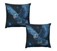 Bird Owl GalaxiesThrow Pillow Covers Decorative Cushion Cases for Farmhouse 2 Pack