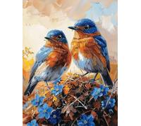 Bird Paint by Numbers for Adults Animal Paint by Numbers without Frame on Clear Symbols and Colored Canvas with 3 Brushes and Acrylic Pigment Drawing Art Crafts, Home Wall Decor Gifts 30x40cm s-18J