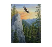 Bird Paint by Numbers for Adults Eagle Painting by Numbers for Adults, Art Supplies with Color Canvas for Painting 20x28In 36 Colors of Acrylic Paint and Brush, Wall Art for Room Decor Gifts 2YH-13027