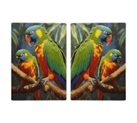 Bird Parrot Painting Passport Holder Passport Wallet PU Leather Passports Protective Cover Slim Travel Accessories