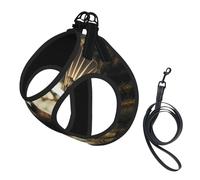 Bird Pattern Print Small Dog Harness with Leash Set, No Escape Easy Walk Puppy Harnesses for Training Walking
