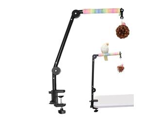 Bird Perch - 4-In-1 Interactive Enrichment Toys, Perch, Parroot Perrch Bird Cage Branch Peerch | Colorful Percch Stand Parakeet Toys - For Climbing Playing Indoor Outdoor Enrichment Cockatiel