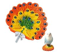 Bird Perch Cage Mounted - Colorful Flat Rest Stand Shelf Toy, Comfortable R