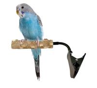 Bird Perch Clip on Wooden Interactive Stand