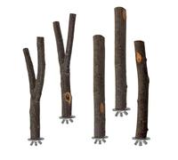 Bird Perch Nature Branch Molar Stand Parrot Conure Supplies Buddy Parrot Grinding Scratcher Small Parrot Toy