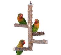 Bird Perch Nature Wood Stand for 3-4pcs Small Medium Parrots (S)