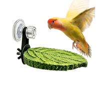 Bird Perch, Perch Stand with Bird Tray - Conure Stand - for Parrots Cocorite Conure Cockatoo Inseparable Canaries Finches